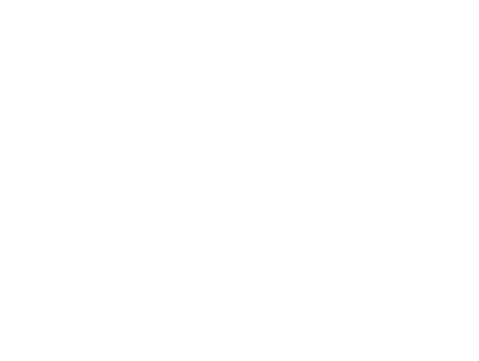 Speedy Mobile Auto Glass